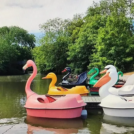 Cousteau - Terras, Zeezicht, Marina * Oostende